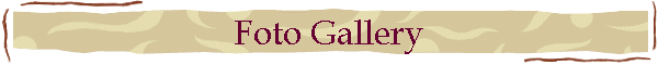 Foto Gallery