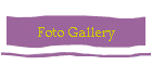 Foto Gallery