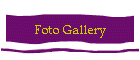 Foto Gallery